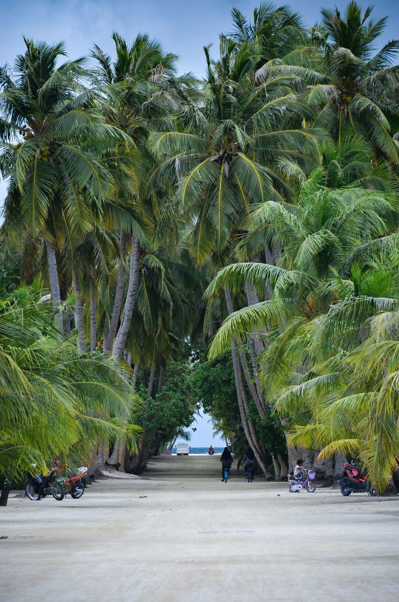 a group of people walking on a beach with palm trees